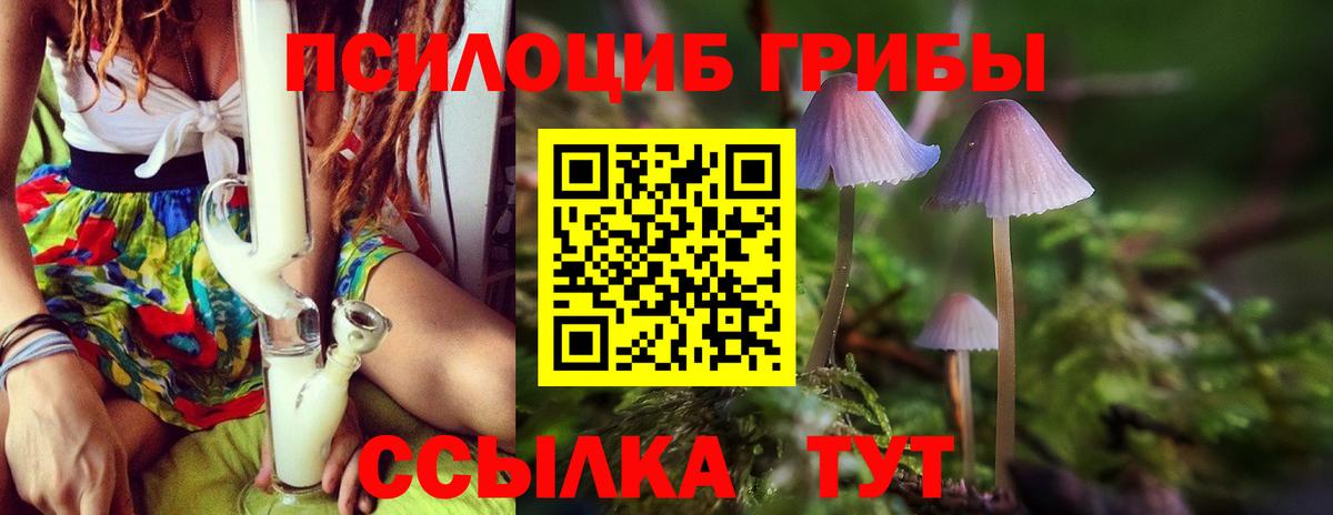 Псилоцибиновые грибы мицелий Комсомольск-на-Амуре